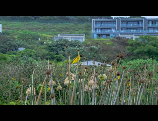 1,672M² VACANT LAND FOR SALE IN ZULULAMI LUXURY COASTAL ESTATE